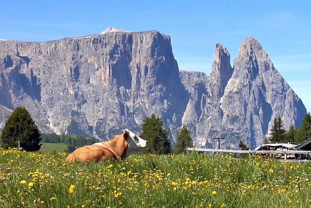 Fantastico Monolocale In Siusi Sciliar Lägenhet Exteriör bild